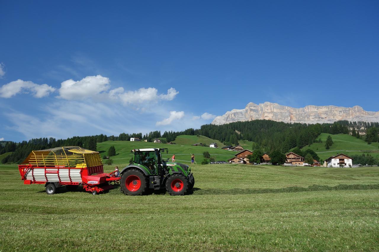 Agriturismo Anvi Badia  Ngoại thất bức ảnh